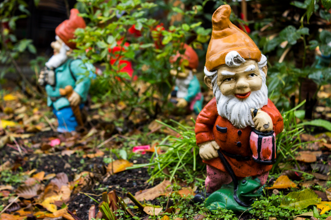 The history of Garden Gnomes